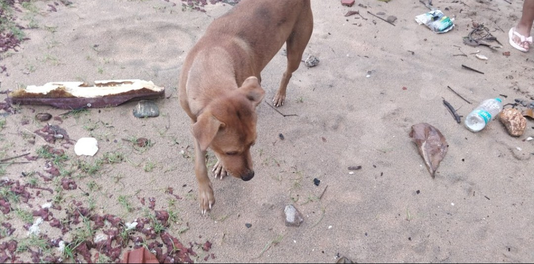 Screenshot_20180917-105359