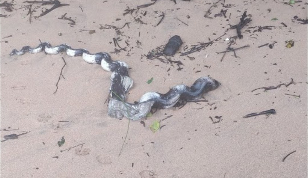 Screenshot_20180917-105407