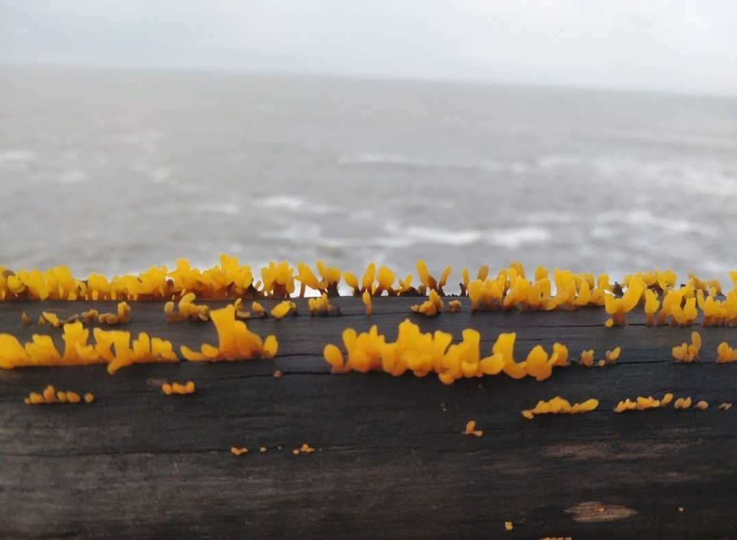 Screenshot_20180917-120636