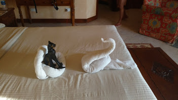 img_20181116_155941394